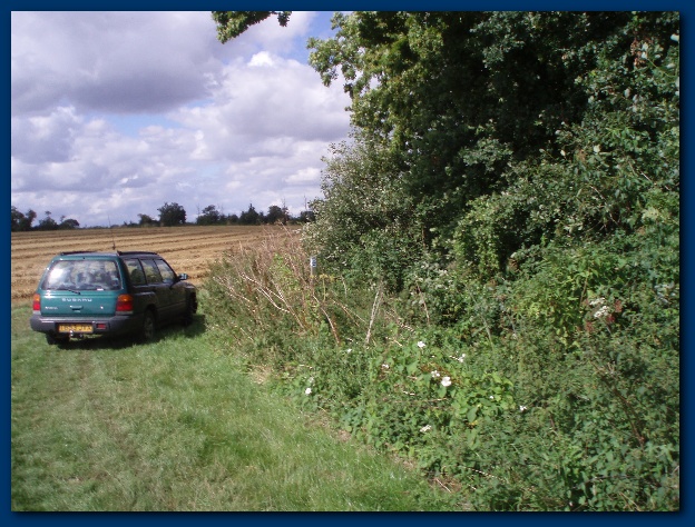 600x449 pixels (171K)